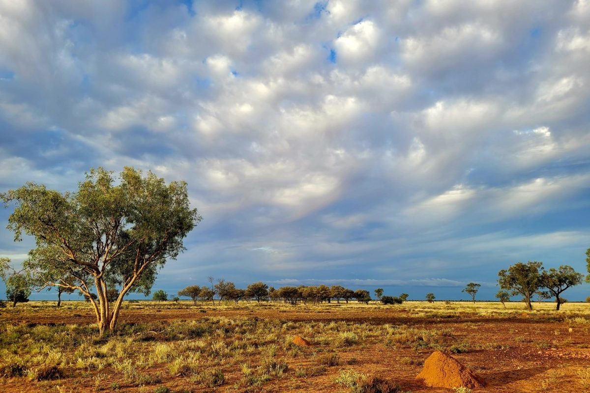 Walking tour of Toogunna Plains